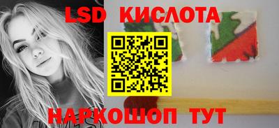 шишки Заволжье