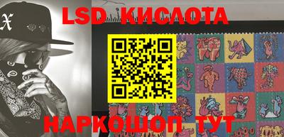 шишки Заволжье