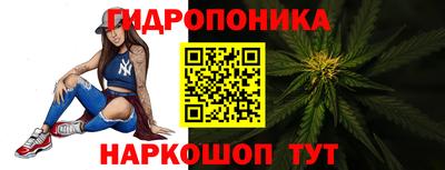 шишки Заволжье