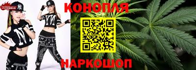 шишки Заволжье