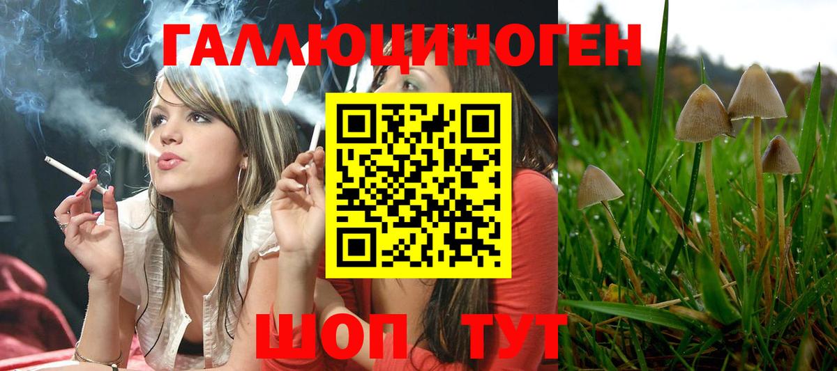 Псилоцибиновые грибы прущие грибы Канск
